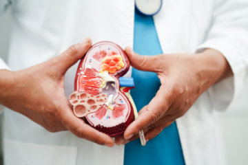 筋力が高い中高年者は腎血管抵抗が低く、腎血管の健康維持に筋力維持が有効と示唆された