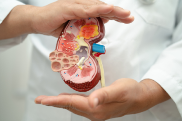 慢性腎臓病患者における血清ホモシステイン濃度と下肢身体機能の関連性