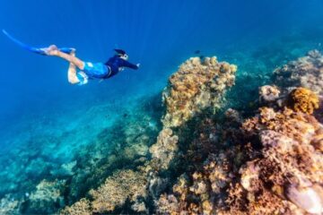 Aortic reservoir function of lifelong Japanese female pearl divers