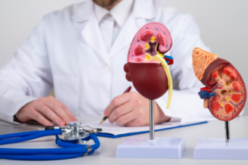 Circulating fibroblast growth factor 21, renal function, and aortic hemodynamics in middle-aged and older adults: a mediation analysis