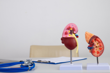 Objectively-assessed sedentary behavior, physical activity, and renal function in middle-aged and older Japanese adults