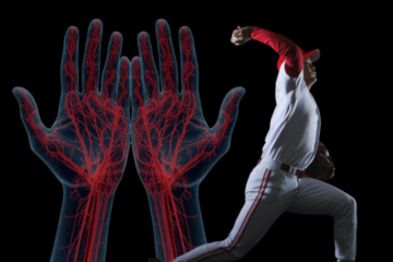 LSFG技術を用いた大学野球投手の手掌・手指の血流動態の評価