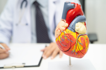 Cardiorespiratory fitness and eGFR decline in individuals with preserved kidney function: A 5-year prospective study