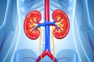 尿細管マーカーから考える至適な運動強度と腎臓リハビ リテーションの最適化